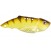 Цвет блесны SPRO Teppan: 7g 08 Yellow Perch
