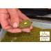 Вафтерси Dynamite Baits Speedy’s Washsters
