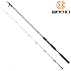 Фидер бортовой Brain Apex Boat 50-250g
