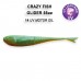  
Crazy Fish Glider: 36-90-14-6-F GLIDER 3.5