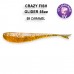  
Crazy Fish Glider: 35-55-9-6 GLIDER 2