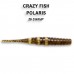  
CrazyFish Polaris: 17-54-26-6 Polaris 2.2
