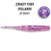  
CrazyFish Polaris: 17-54-27-6 Polaris 2.2