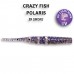 
CrazyFish Polaris: 17-54-29-6 Polaris 2.2