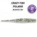  
CrazyFish Polaris: 17-54-40-6 Polaris 2.2