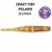  
CrazyFish Polaris: 17-54-9-6 Polaris 2.2