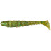  
Select Fatfish: 008