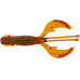  
Select Kraken: 085