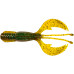  
Select Kraken: 087