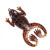 61256 Natural Frog6cm 256
