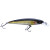 Caiman 49347-100 A42