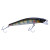 Caiman 49349-090 OLK01