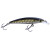 Caiman 49351-070 L12