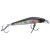 Caiman 49352-060 OLK01