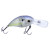 Caiman 49812-060 C04