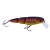 Caiman 49813-095 M01