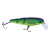 Caiman 49813-095 M03
