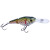 Caiman 49814-062 S13