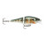 Rapala BX Jointed Shad: Rapala BXJSD06 BG