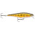 Rapala BX Minnow: Rapala BXM10 TR