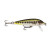 Rapala CountDown: Rapala CD05 MD