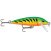 Rapala CountDown: Rapala CD07 FT