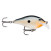 Rapala Scatter Rap Crank: Rapala SCRC05 PNGN