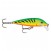 Rapala Scatter CountDown: Rapala SCRCD07 FT