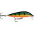 Rapala Scatter CountDown: Rapala SCRCD07 P