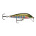 Rapala Scatter CountDown: Rapala SCRCD07 RT
