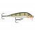 Rapala Scatter CountDown: Rapala SCRCD07 YP