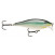 Rapala Scatter Rap Shad: Rapala SCRS07 BBH