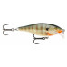  
Rapala Scatter Rap Shad: Rapala SCRS07 BG
