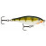 Rapala Scatter Rap Shad: Rapala SCRS07 YP