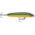 Rapala Skitter V: SKV10 10cm 14g HO