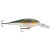 Rapala Shad Rap: Rapala SR05 SD
