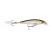 Rapala XR06 AYU