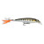 Rapala XR06 MD