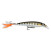 Rapala X-Rap: Rapala XR06 MD