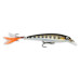  
Rapala X-Rap: Rapala XR06 MD