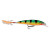 Rapala XR08 P