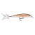 Rapala XR06 TR
