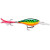 Shad XRS08 FT