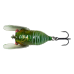 SG 3D Cicada: 61989 3.3cm 3.5g Green
SG 3D Cicada: 61989 3.3cm 3.5g Green